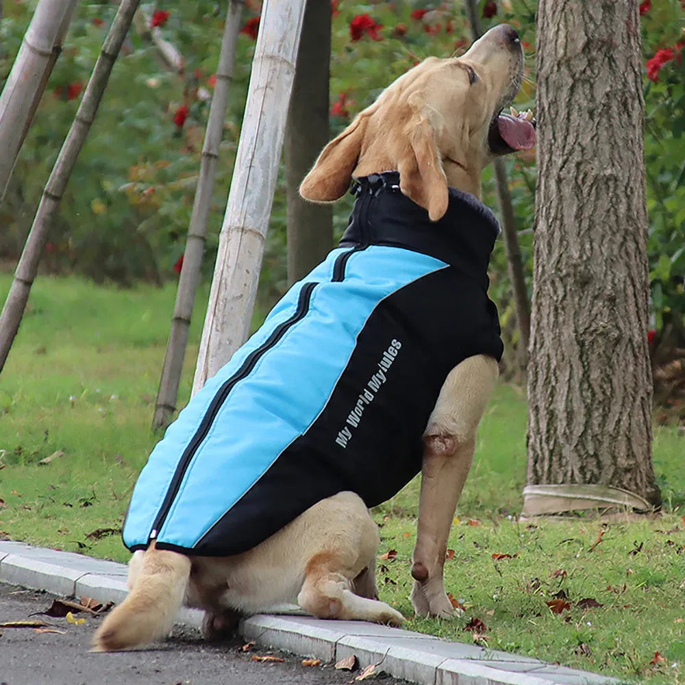 Reflective-DogCoat-black-blue-back-sidereflective