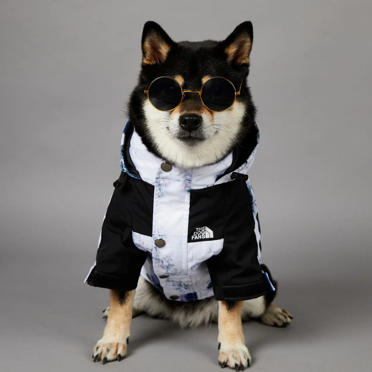 Map & Clouds - Dog Puffy Jacket