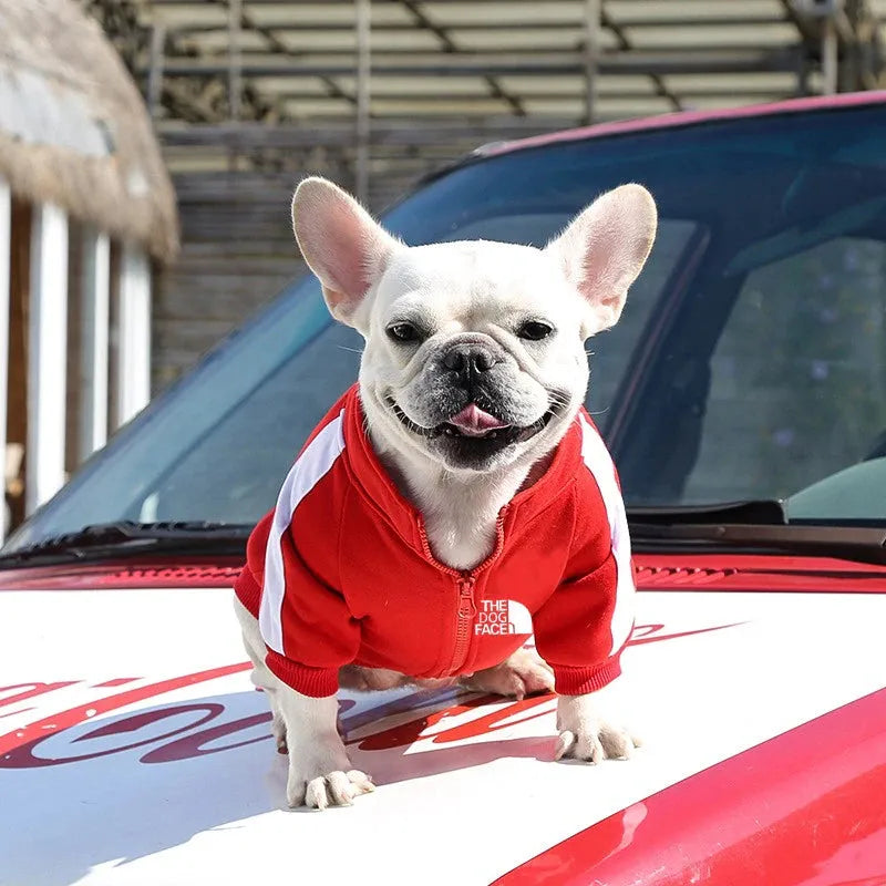 Dog Coats That Zip Up The Back The Dog Face