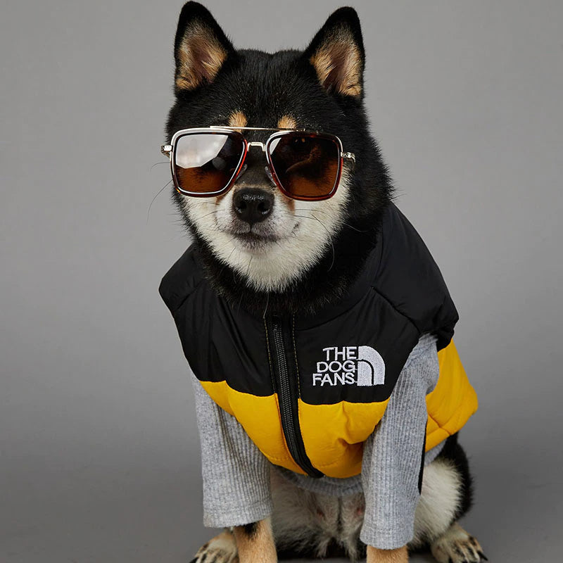 A black and tan Shiba Inu wearing a black and yellow large dog coat with the logo "The Dog Fans" on the front, also wearing sunglasses.