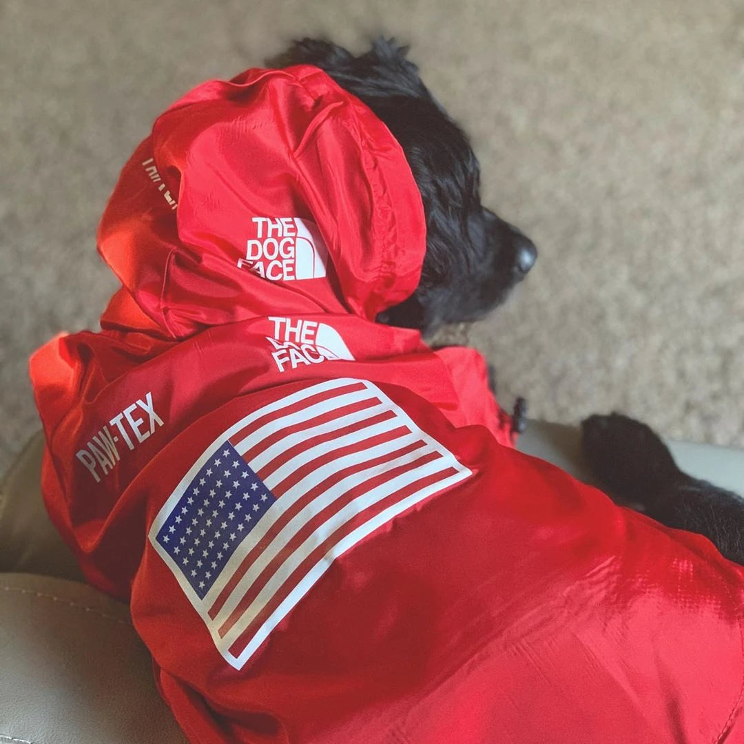 A dog wearing The Dog Face red hoodie with an American flag, showcasing premium quality dog apparel