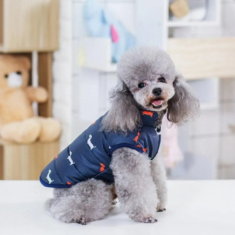 Poodle snowsuit best sale