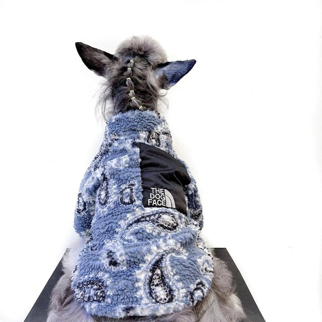 A dog with braided hair wearing a blue and black paisley-patterned chilly dog sweater with "The Dog Face" logo, showing the back view.