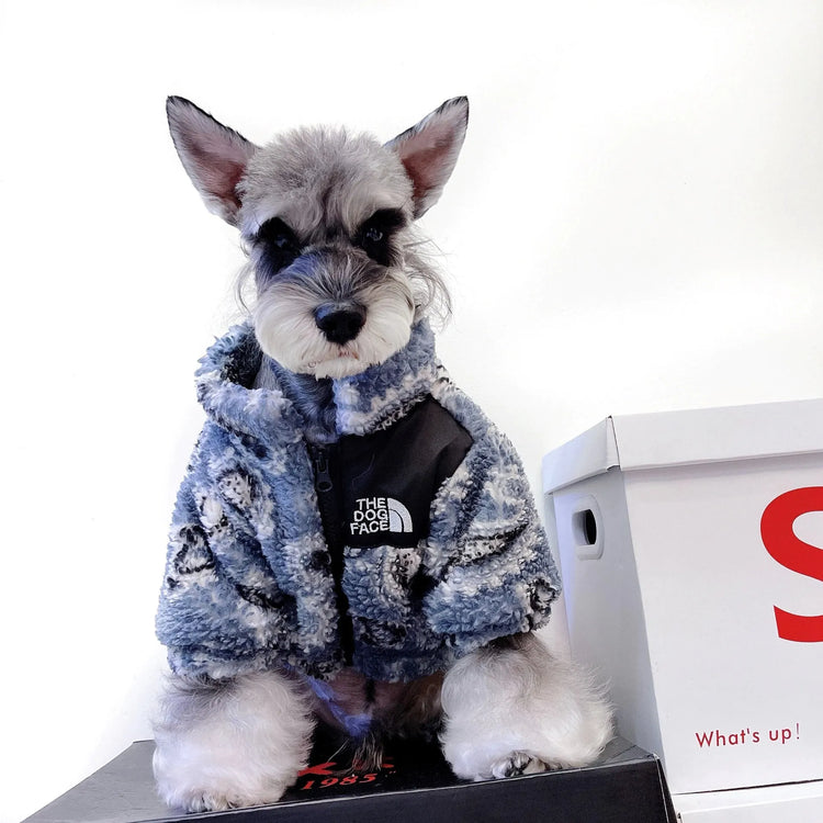 A Schnauzer wearing a blue and black paisley-patterned chilly dog sweater with "The Dog Face" logo, sitting and facing the camera.