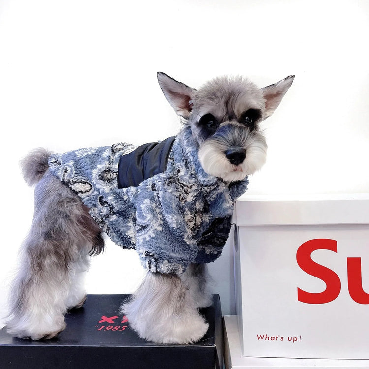 A Schnauzer wearing a blue and black paisley-patterned chilly dog sweater with "The Dog Face" logo, standing and facing sideways.