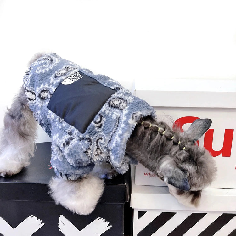 A Schnauzer wearing a blue and black paisley-patterned chilly dog sweater with "The Dog Face" logo, leaning down to inspect something.