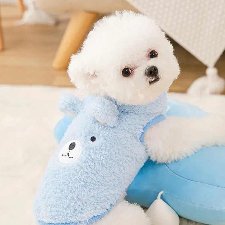 The Dog Face Cute Bear Dog Fur Coat in sky blue, shown on a dog from the back view.