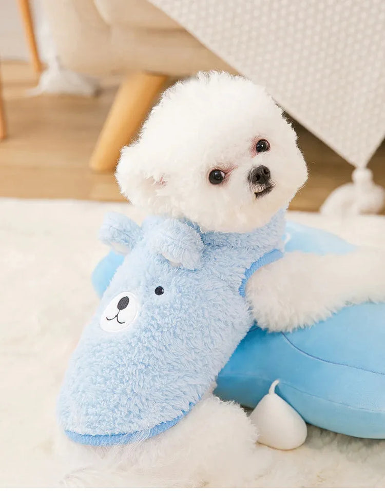 The Dog Face Cute Bear Dog Fur Coat in sky blue, shown on a dog from the back view.