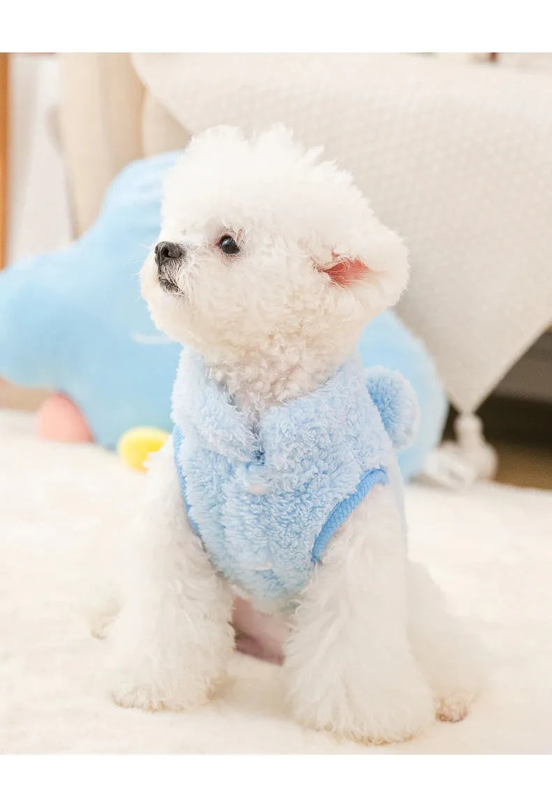 The Dog Face Cute Bear Dog Fur Coat in sky blue, shown on a dog from the front view.