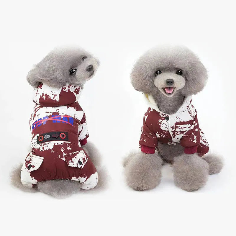 Front view of two poodles wearing red and white patterned hoodies