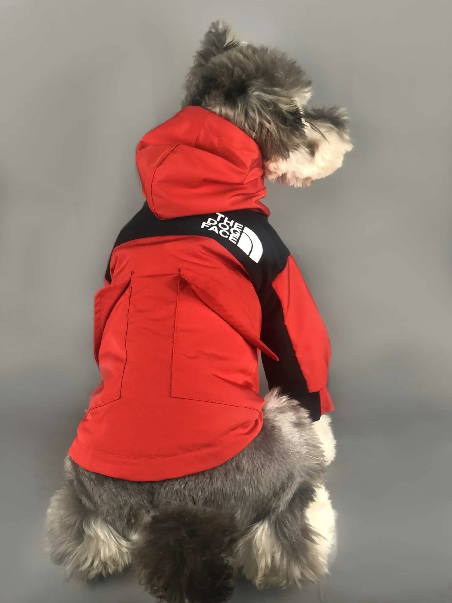 Dog wearing a red and black waterproof jacket by "The Dog Face," viewed from the back, showcasing premium dog outerwear.