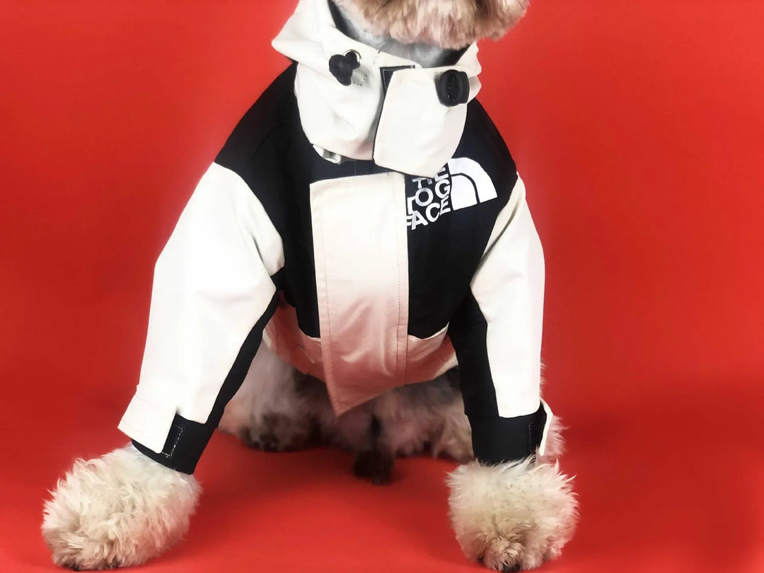 Close-up of a dog wearing a black and white waterproof jacket by "The Dog Face," highlighting stylish and functional pet clothing.