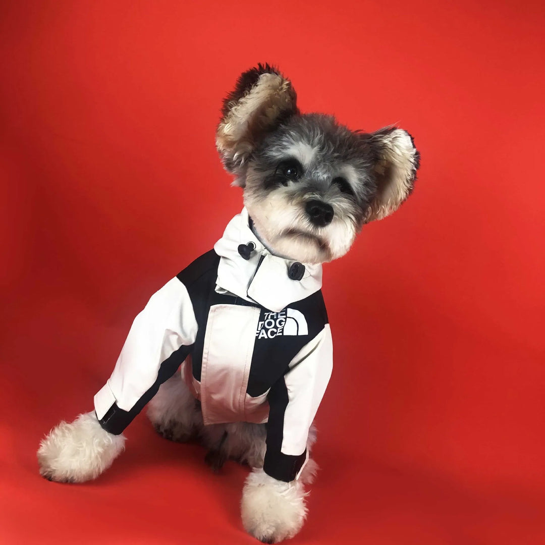 Dog posing in a black and white waterproof jacket by "The Dog Face," showcasing high-quality pet outerwear.