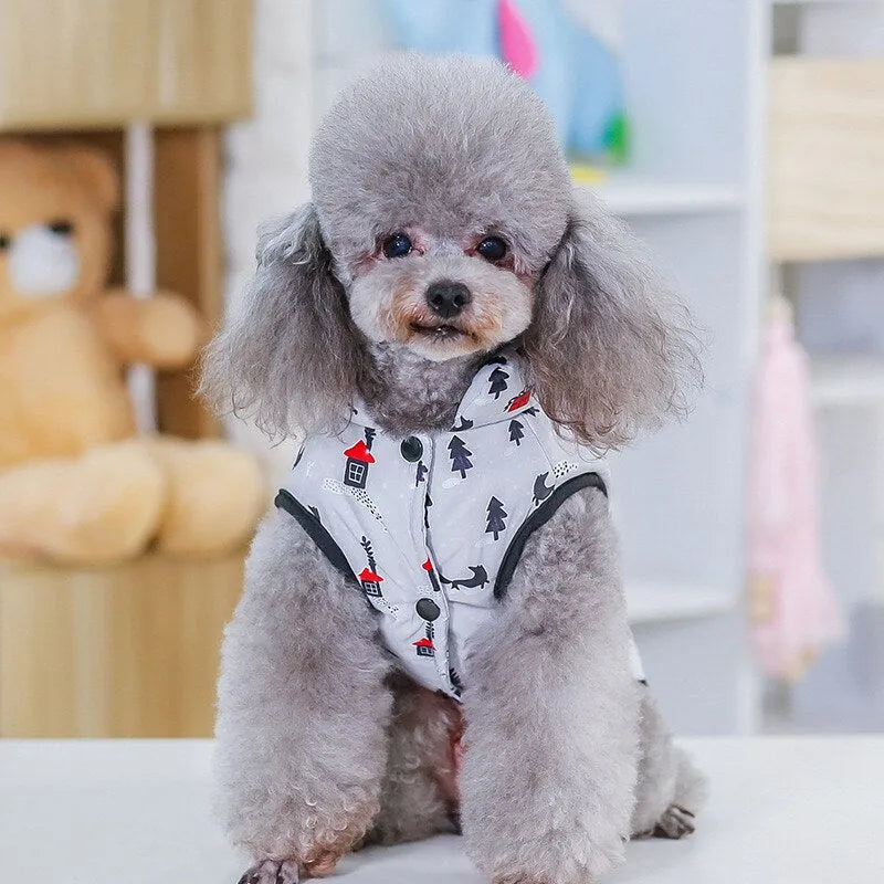 Front view of a poodle wearing a white dog snow suit with red and black winter patterns