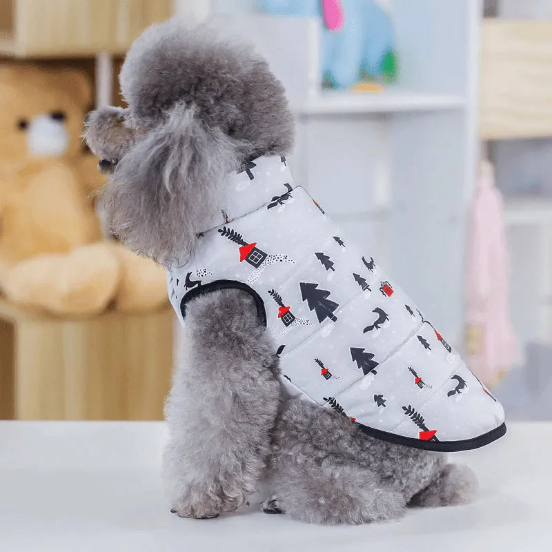 Side profile of a poodle wearing a white dog snow suit with red and black winter patterns