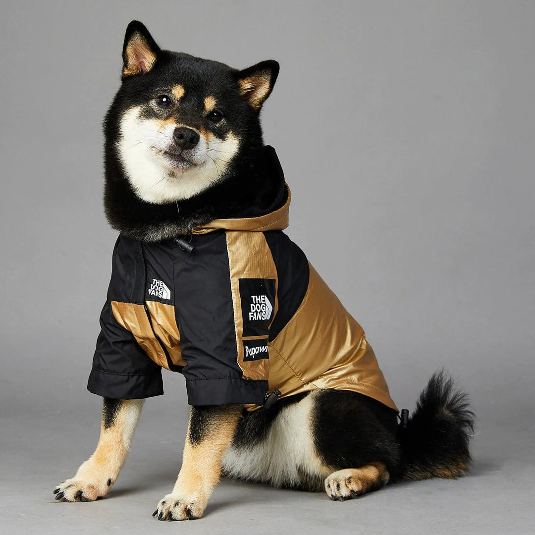 Shiba Inu sitting and wearing a cool dog hoodie in gold and black with 'The Dog Fans' logo, front view.