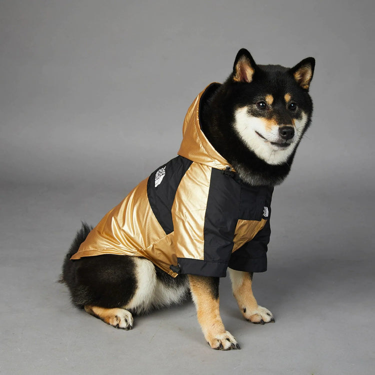 Side view of a Shiba Inu wearing a cool dog hoodie in gold and black with 'The Dog Fans' logo.