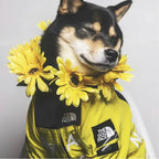 Alphabet Letters - Hoodies For Dogs