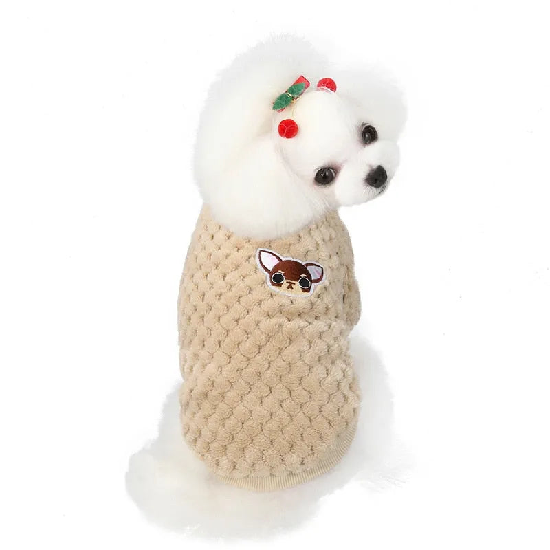 White fluffy dog wearing a beige dog face shirt with a cartoon dog patch on the back