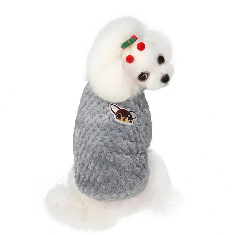 White fluffy dog wearing a grey dog face shirt with a cartoon dog patch on the back