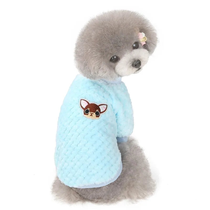 Grey fluffy dog wearing a blue dog face shirt with a cartoon dog patch on the back