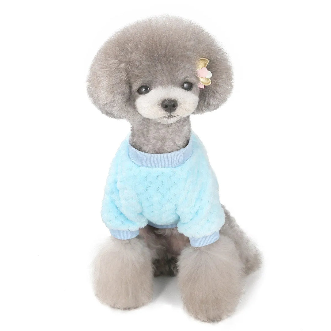 Grey fluffy dog wearing a blue dog face shirt with a cartoon dog patch on the chest, sitting and facing forward