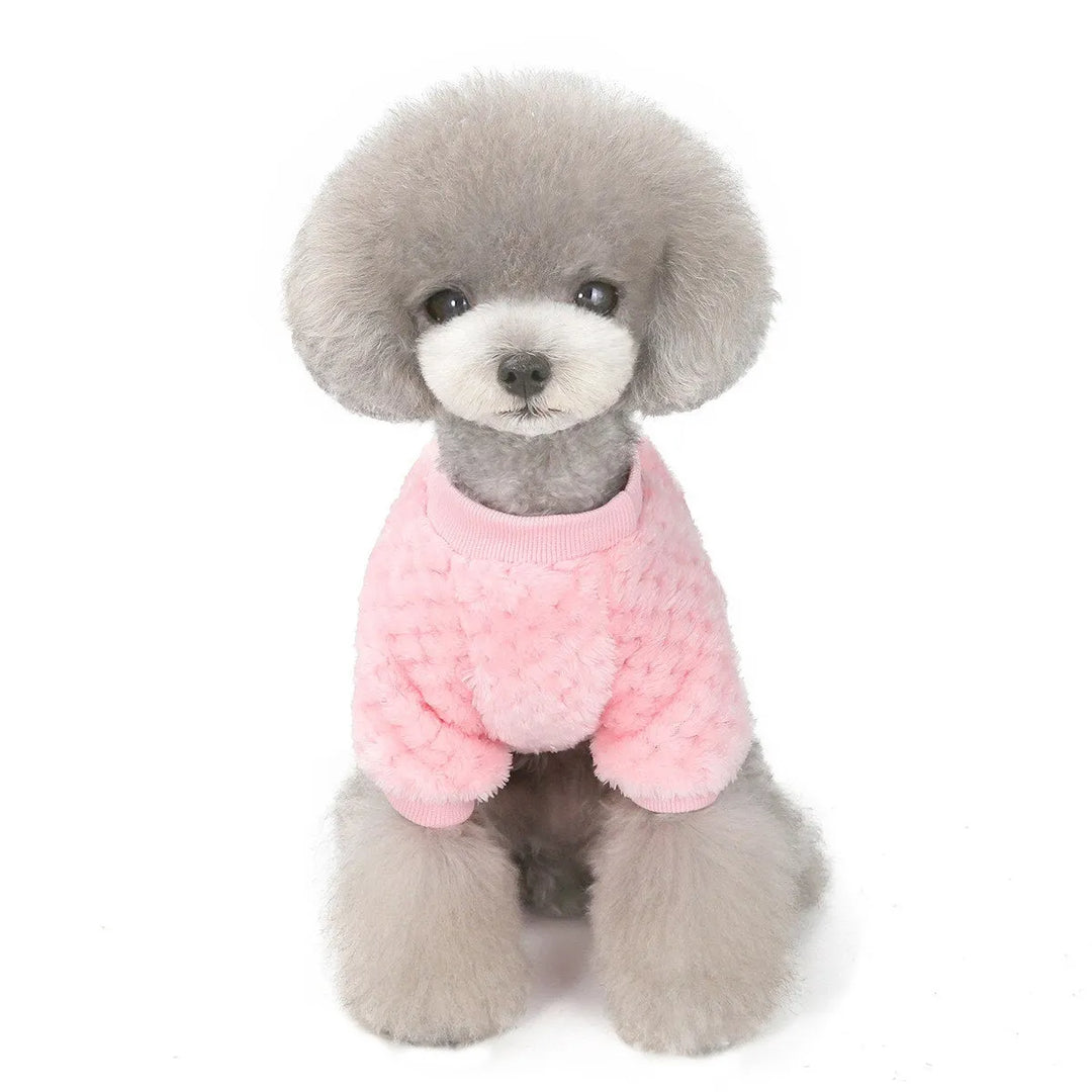 Grey fluffy dog wearing a pink dog face shirt with a cartoon dog patch on the chest, sitting and facing forward