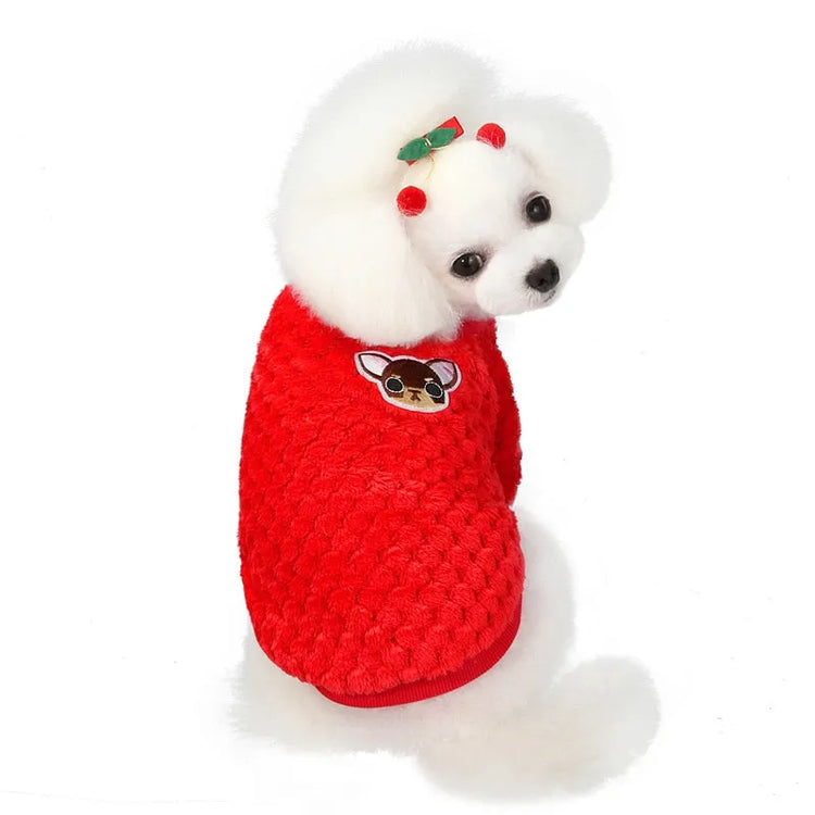 White fluffy dog wearing a red dog face shirt with a cartoon dog patch on the back