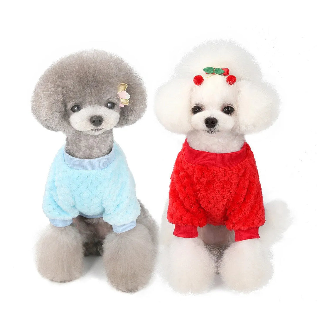 Two fluffy dogs wearing dog face shirts, one in blue and one in red, sitting side by side