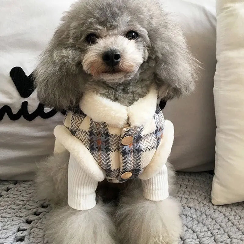 Grey fluffy dog wearing a blue plaid dog coat with white fleece lining and button details