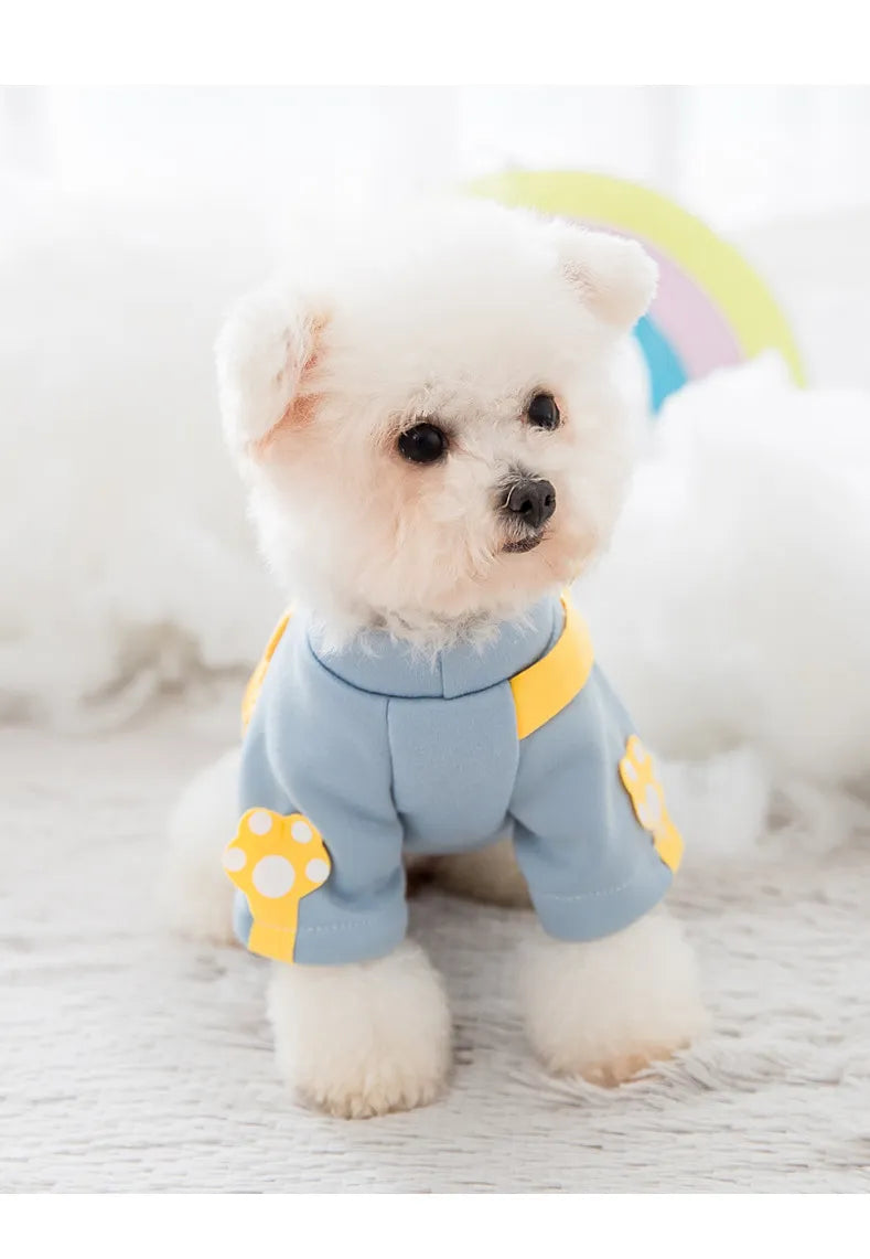 Cheap designer dog clothes best sale