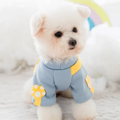 Small white dog in a light blue sweater with yellow accents, showcasing the Designer Dog Sweaters."