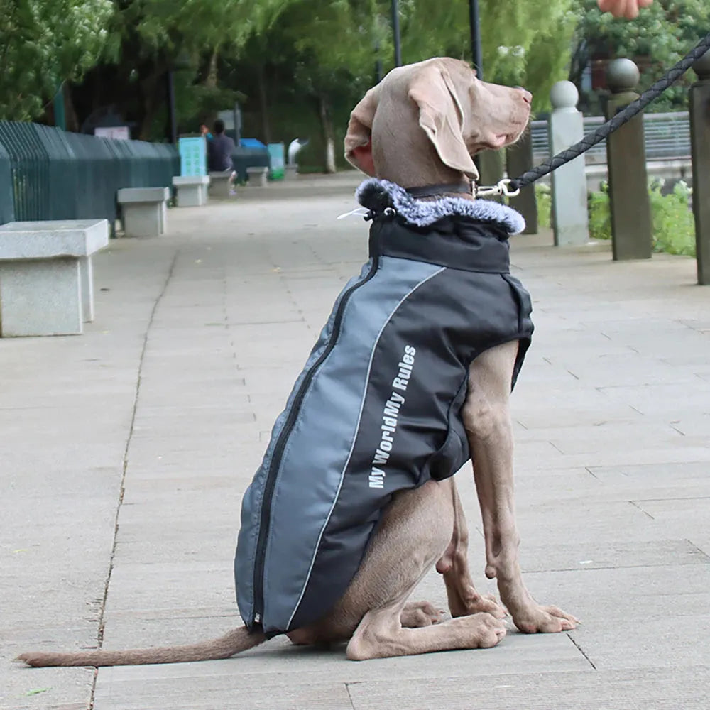 Reflective-DogCoat-black-back-reflective