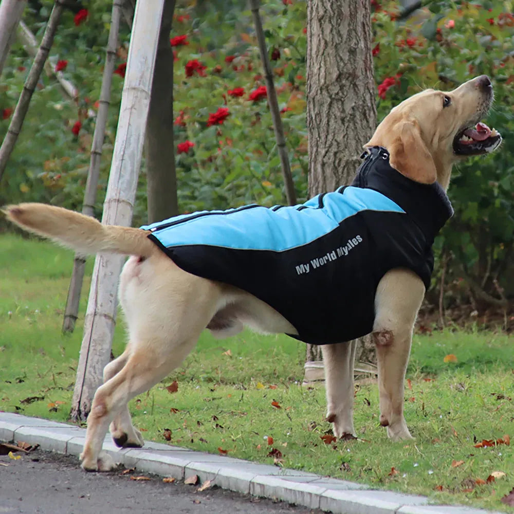 Reflective-DogCoat-black-blue-back-reflective