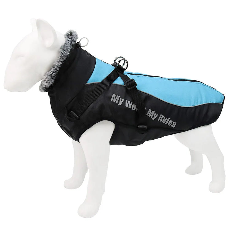 Reflective-DogCoat-black-blue-reflective