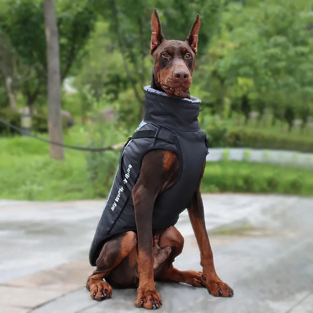 Reflective-DogCoat-black-reflective