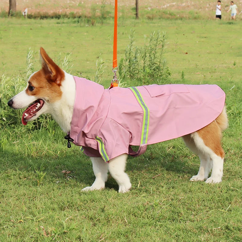 Billionaire's Swag - Dog Jacket Waterproof