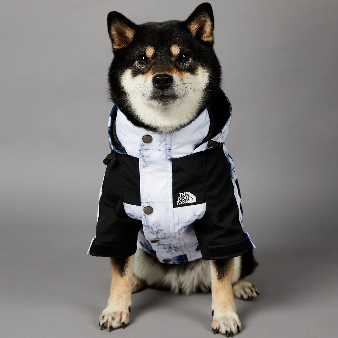 Map & Clouds - Dog Puffy Jacket