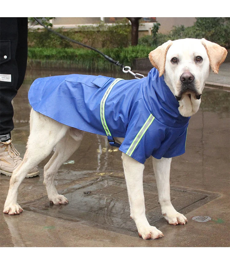 Billionaire's Swag - Dog Jacket Waterproof