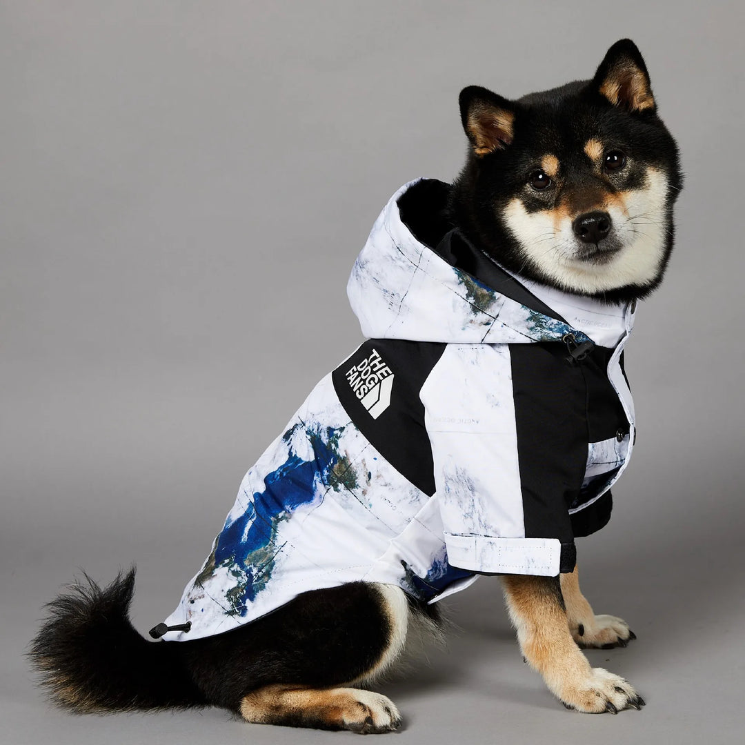 Map & Clouds - Dog Puffy Jacket