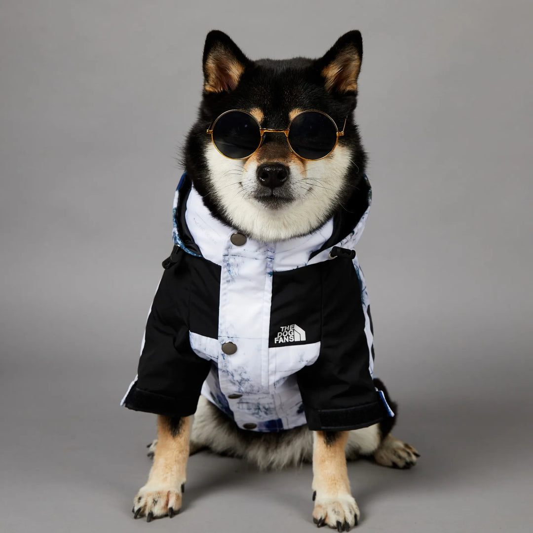 Map & Clouds - Dog Puffy Jacket