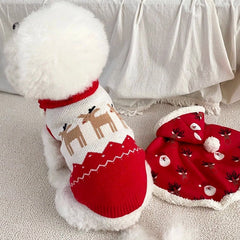 Cute Dog Set 1 - Dog Christmas Sweaters - The Dog Face