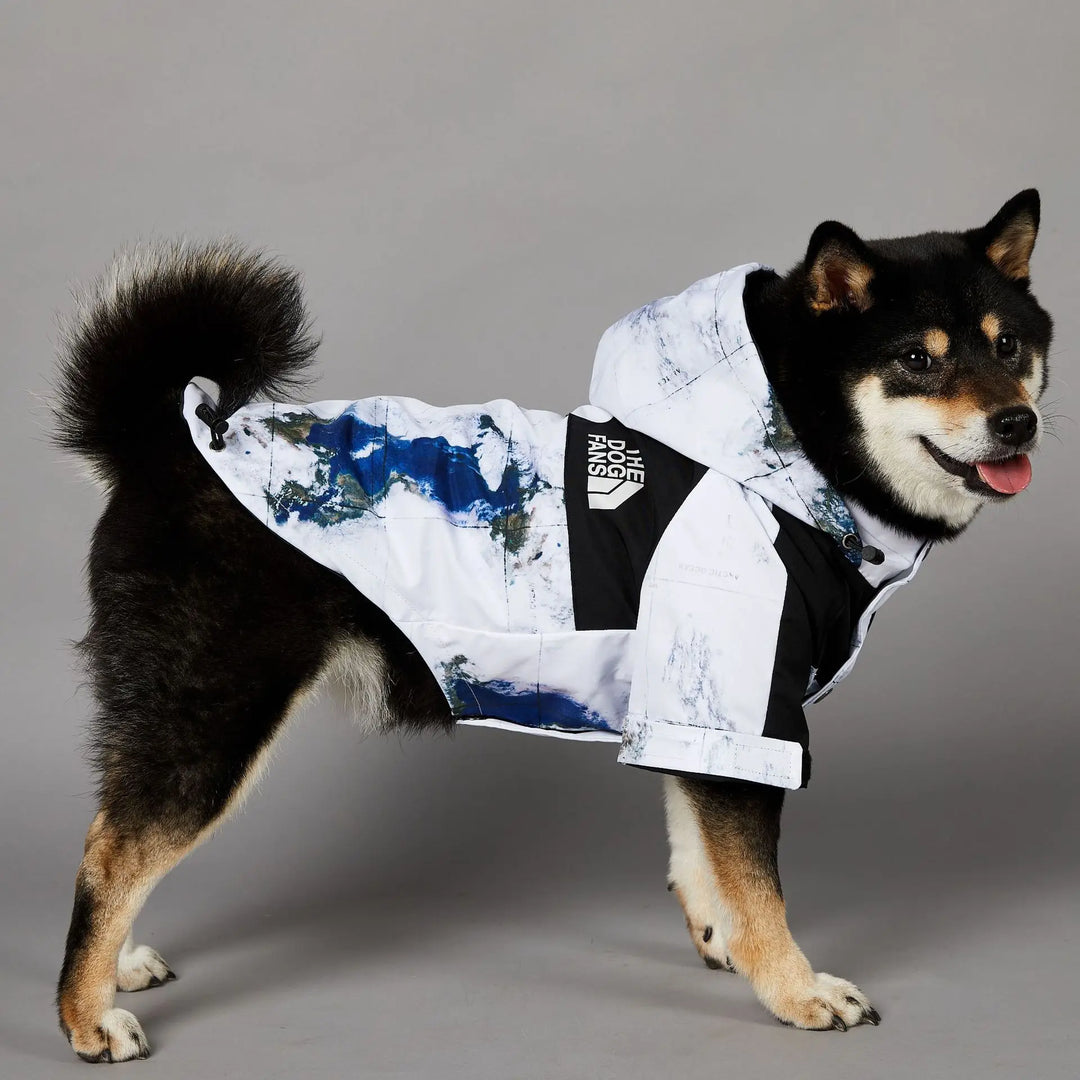 Map & Clouds - Dog Puffy Jacket