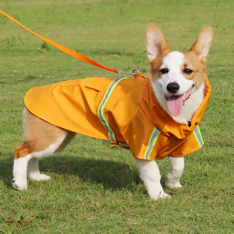 Billionaire's Swag - Dog Jacket Waterproof