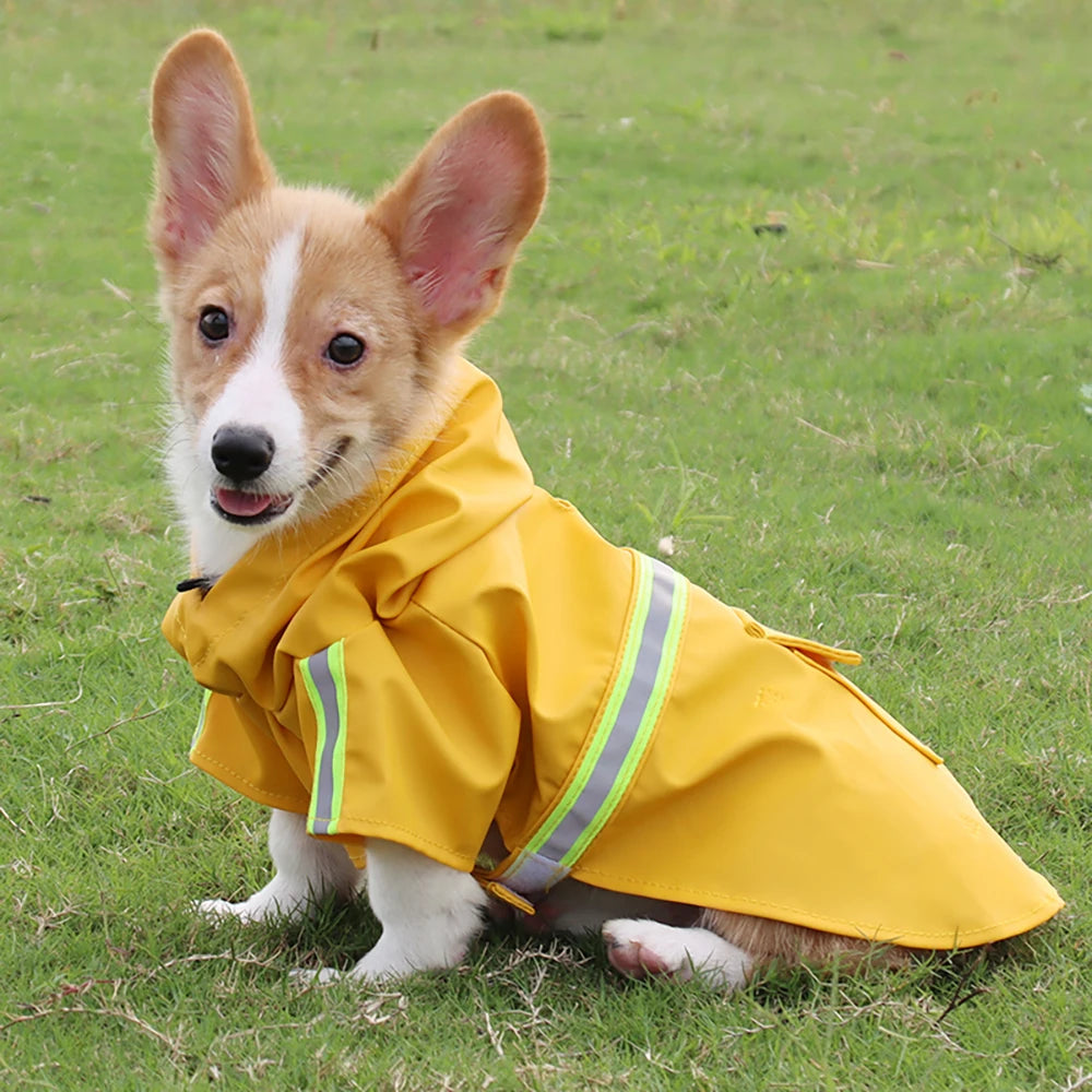 Billionaire's Swag - Dog Jacket Waterproof