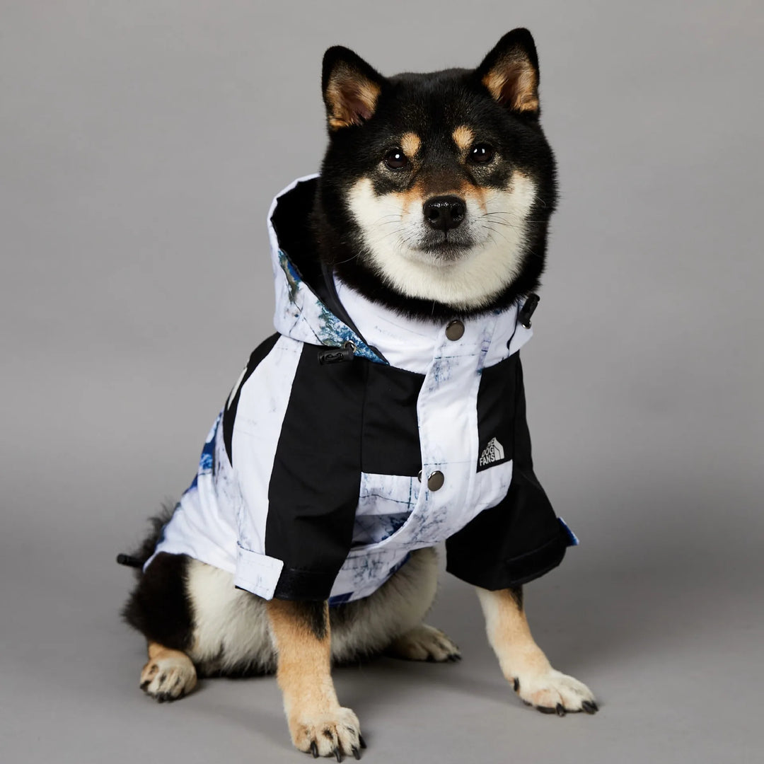 Map & Clouds - Dog Puffy Jacket