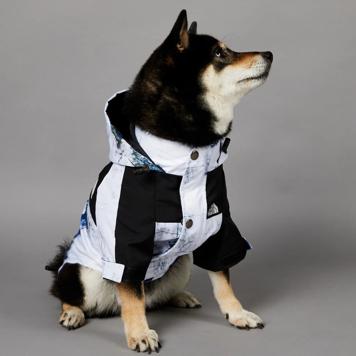 Map & Clouds - Dog Puffy Jacket