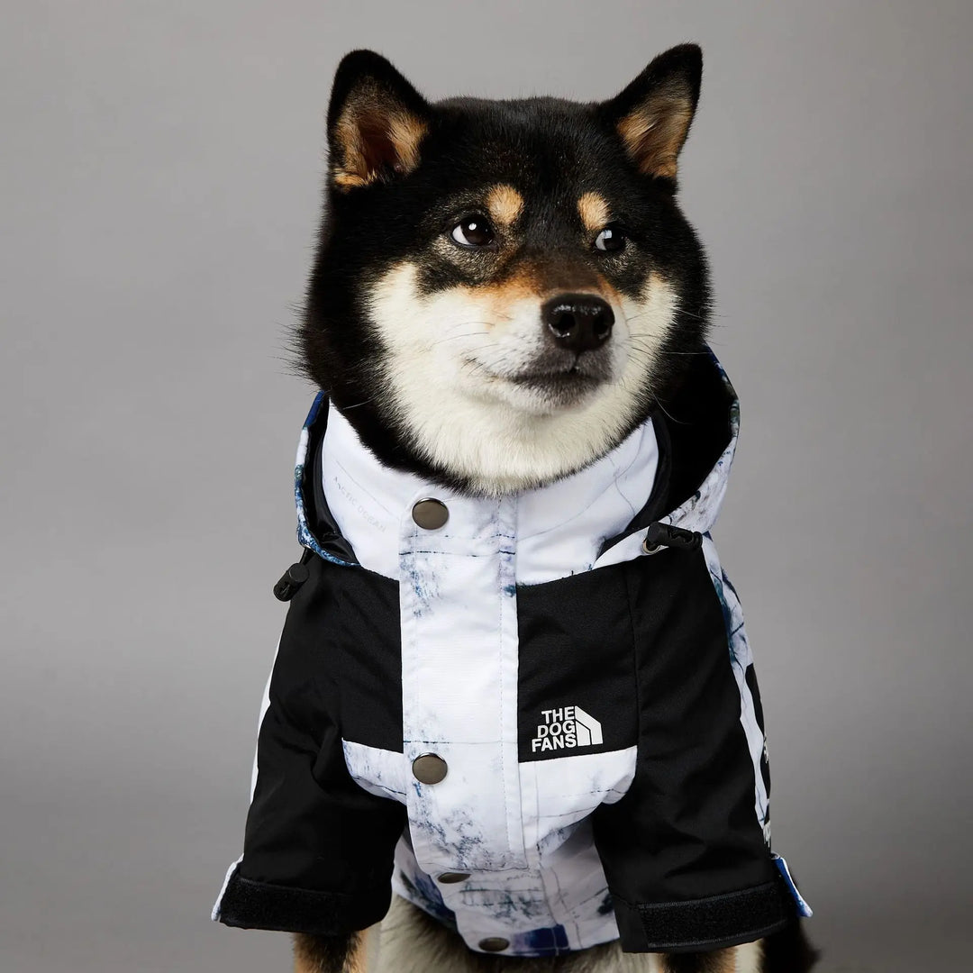 Map & Clouds - Dog Puffy Jacket