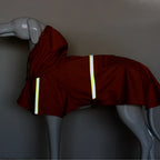 Billionaire's Swag - Dog Jacket Waterproof