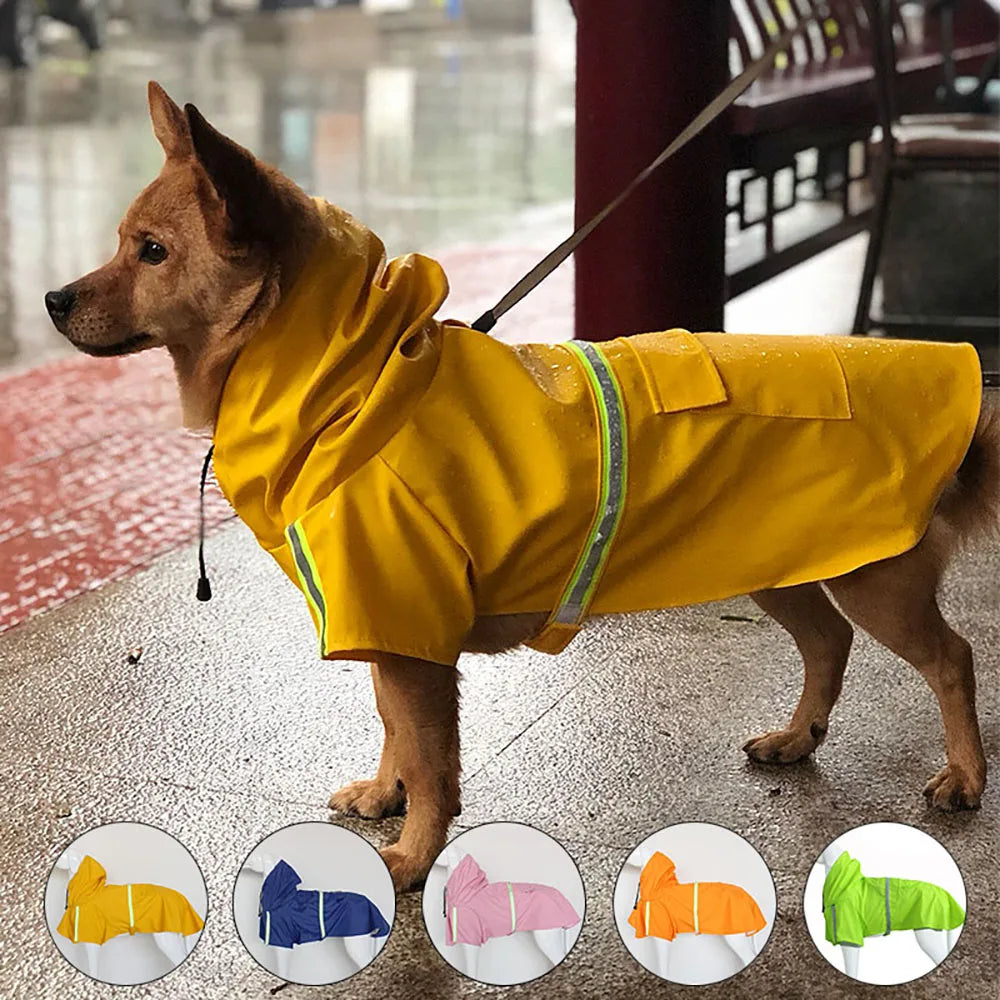 Billionaire's Swag - Dog Jacket Waterproof